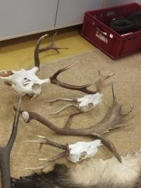 Náhodná fotogalerie